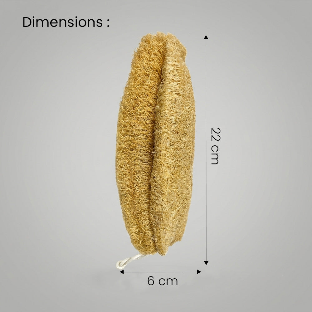 Natural Loofah Bath Scrub (Ridge Gourd Body Scrubber Oval Shape) Pack of 2