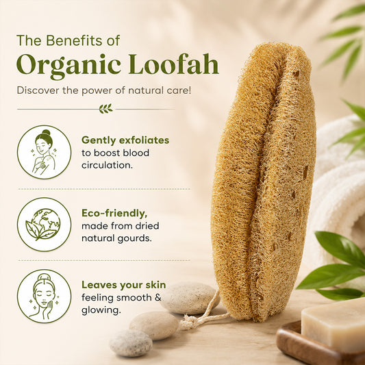 Natural Loofah Bath Scrub (Ridge Gourd Body Scrubber Oval Shape) Pack of 2