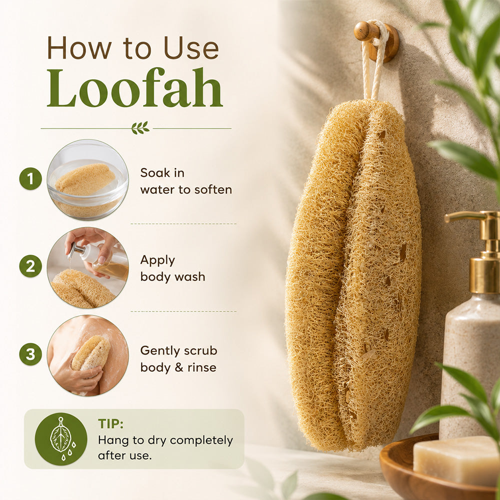Natural Loofah Bath Scrub (Ridge Gourd Body Scrubber Oval Shape) Pack of 2