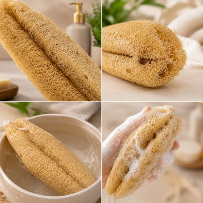Natural Loofah Bath Scrub (Ridge Gourd Body Scrubber Oval Shape) Pack of 2