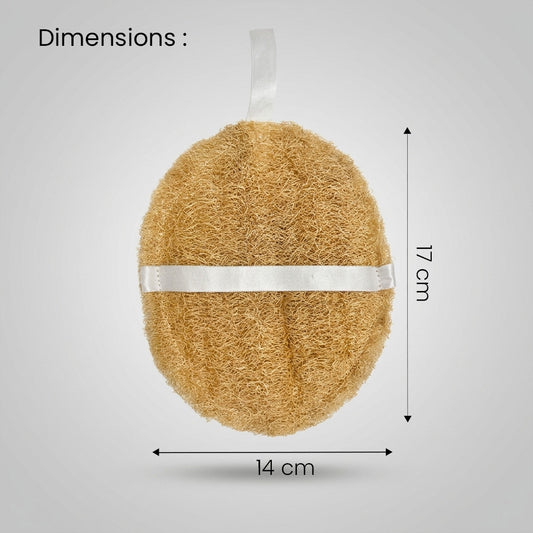 Natural Loofah Bath Scrub (Ridge Gourd Body Scrubber Round Shape) Pack of 2