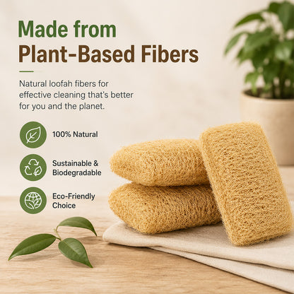 Natural Sun-Dried Ridge Gourd Dish & Kitchen Scrubber (Pack of 3)